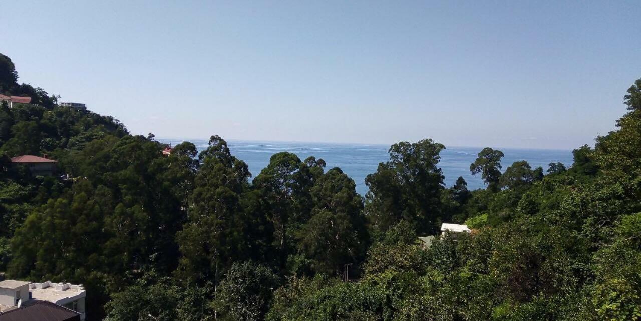Hotel Giorgi Kvariati Exteriér fotografie